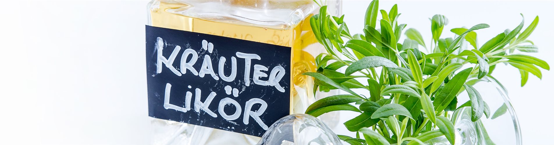 Kräuter Likör mit Ysop