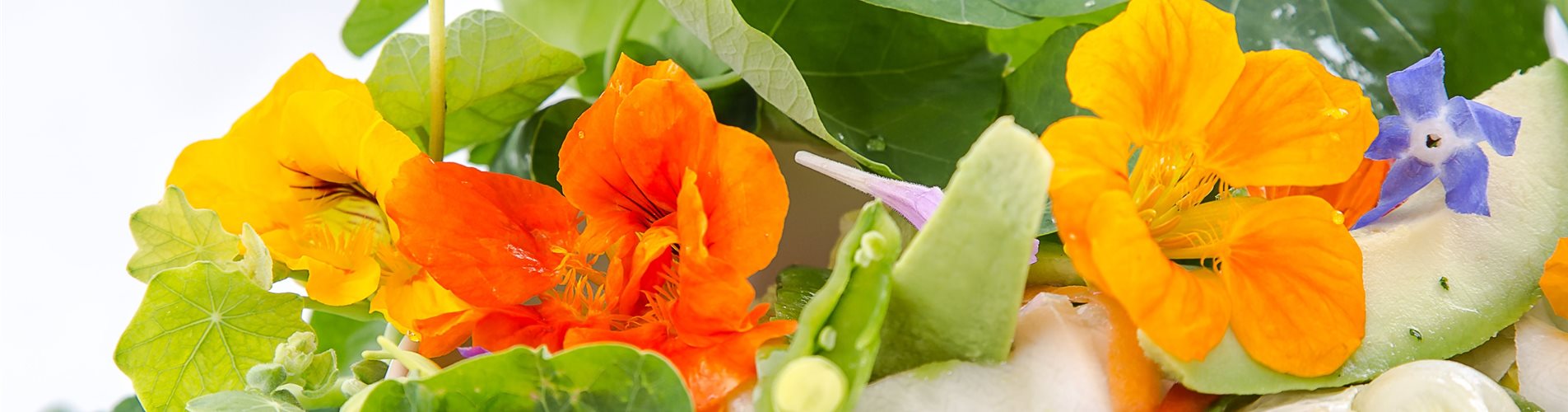 Sommerblütensalat mit Kapuzinerkresse