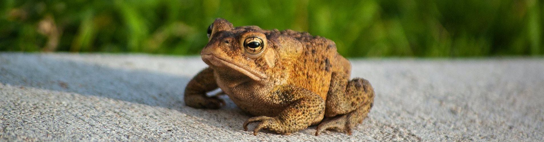 byron-burns-LL79LBONKOA-unsplash-0-308-3008-1692