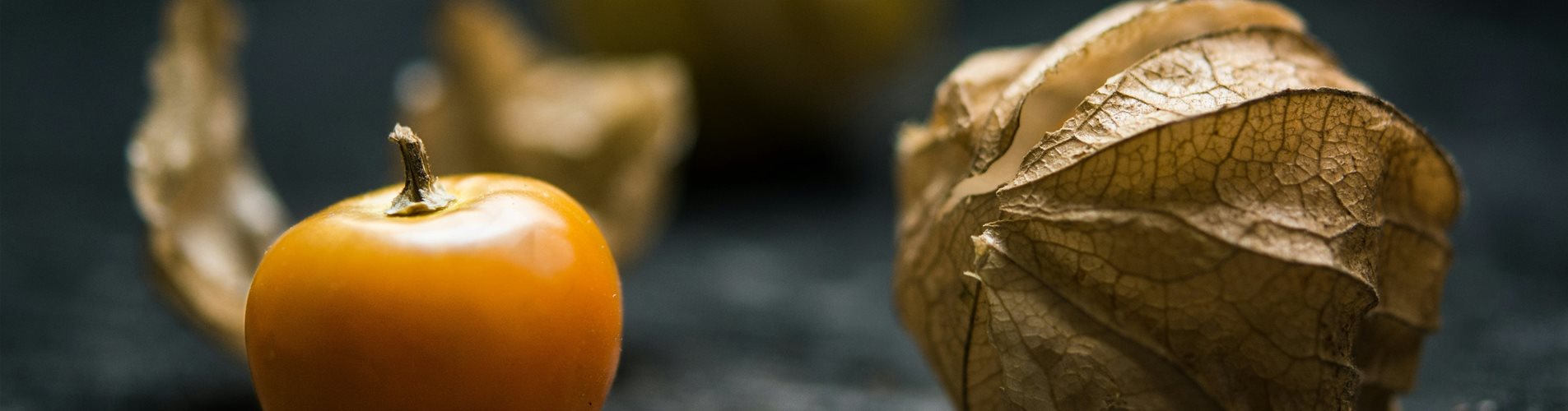 jonathan-pielmayer-6yYLqb-Z8nQ-unsplash-0-625-6000-3375 jonathan-pielmayer-6yYLqb-Z8nQ-unsplash-0-625-6000-3375