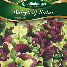 Babyleaf Salat Mischung