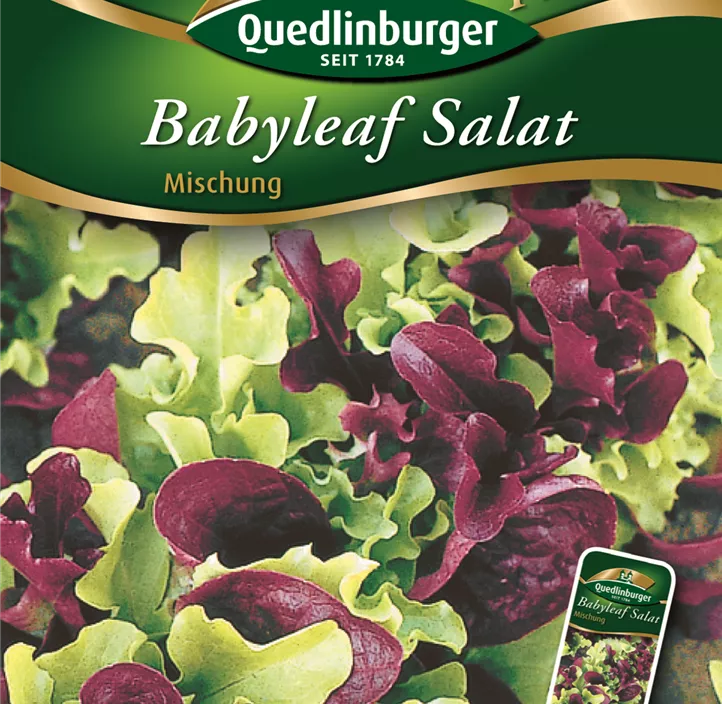 Babyleaf Salat Mischung