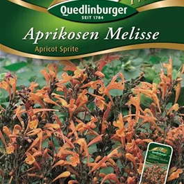 Aprikosen Melisse