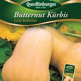 Butternut Kürbis Early Butter