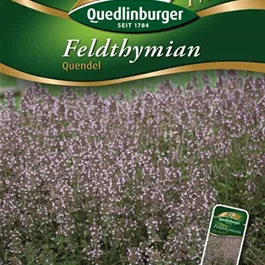 Feldthymian Quendel