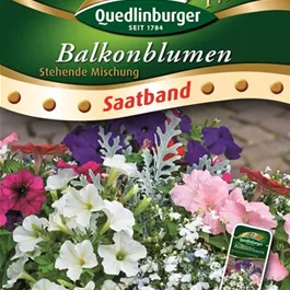 Balkonblumen stehende Mischung