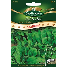 Feldsalat Verte de Cambra