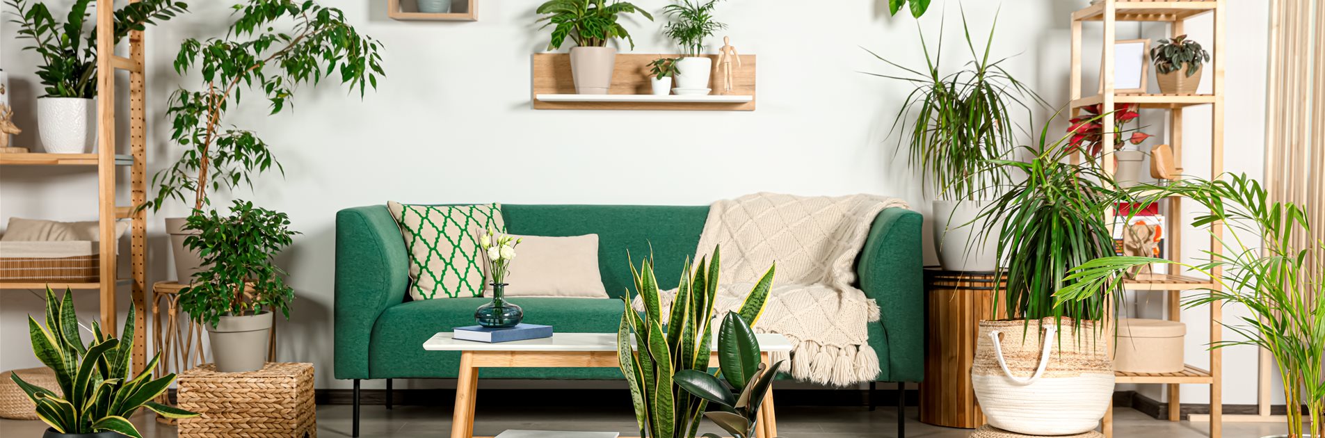 Grüne Trendsetter Grüne Trendsetter