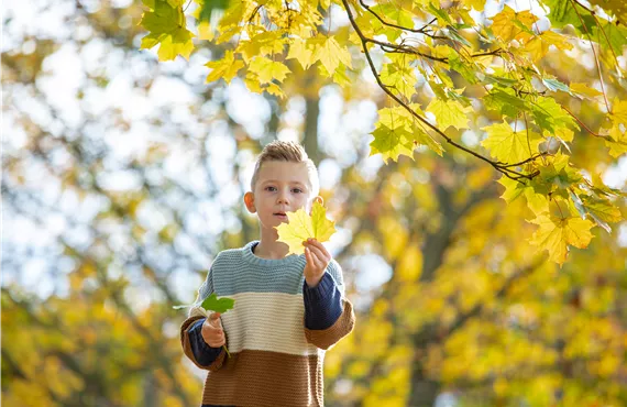 Junge mit Blätter in der Hand, draußen im Wald
