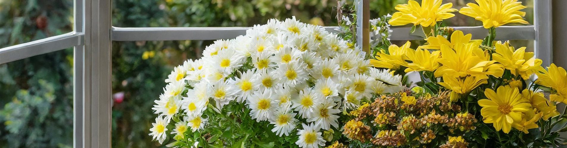 Blumenkasten mit weißen und gelben Blumen