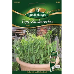 Topf-Zuckererbse Norli
