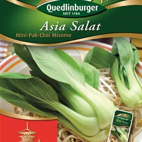 Asia Salat Pak-Choi-Mini Misome