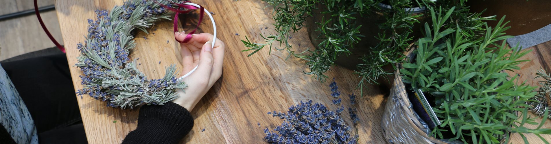 Basteln eines Lavendelkranzes Basteln eines Lavendelkranzes