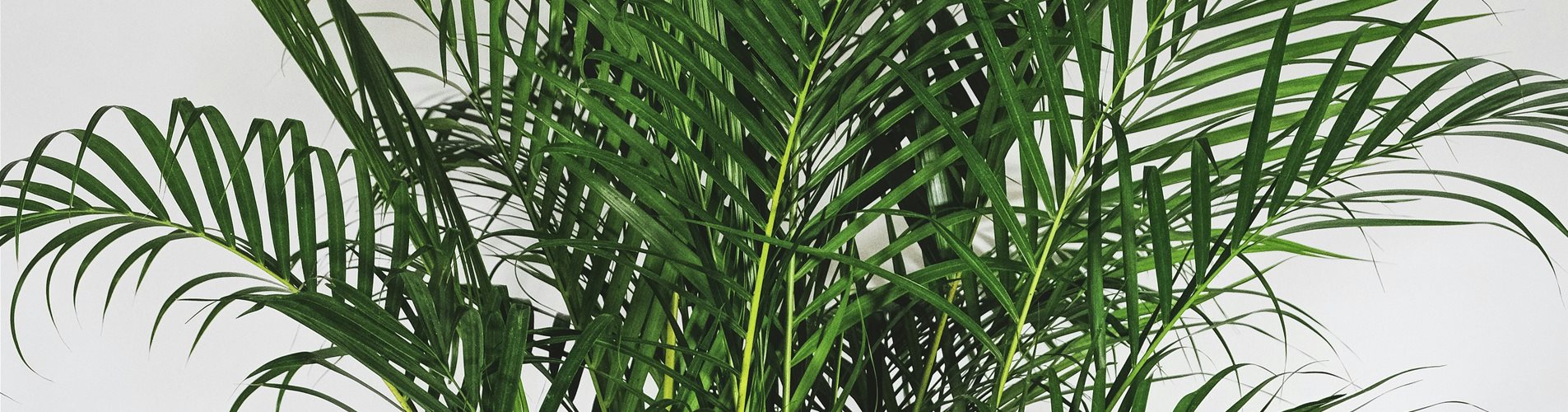 feey-yyRsvDp-zNc-unsplash-0-174-4160-2340