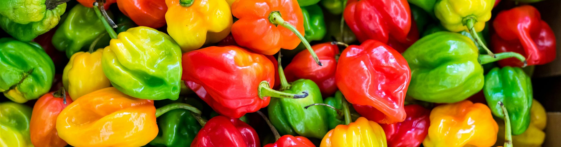 pexels-ivan-torres-594557-1374651 pexels-ivan-torres-594557-1374651