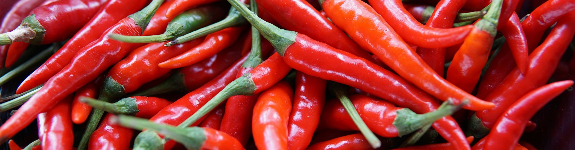 elle-hughes-sFU3-fwZ6nQ-unsplash