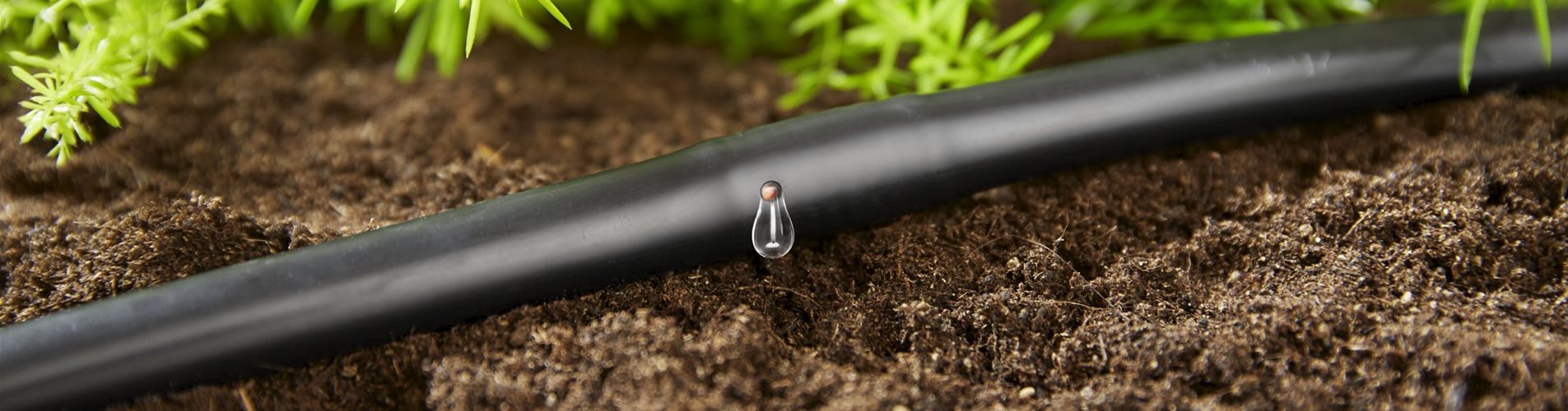 Microdrip Bewässerung
