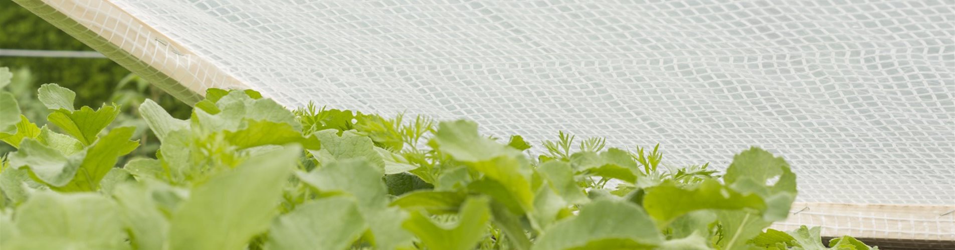 9003117064799_2-0-449-2000-1125