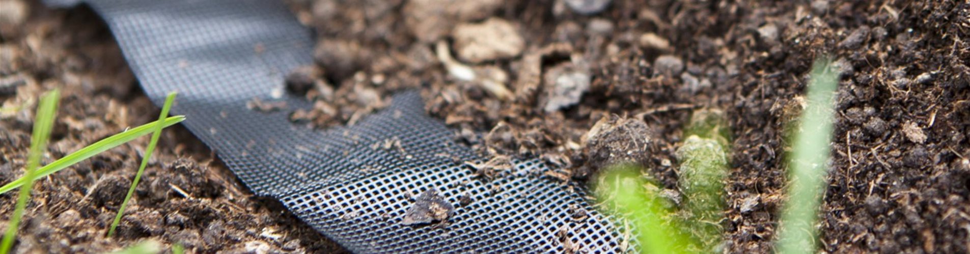 9003117065048_2-0-1122-1560-877