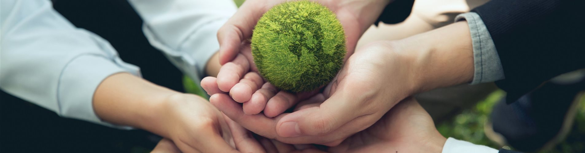 AdobeStock_667490320-0-0-5472-3648