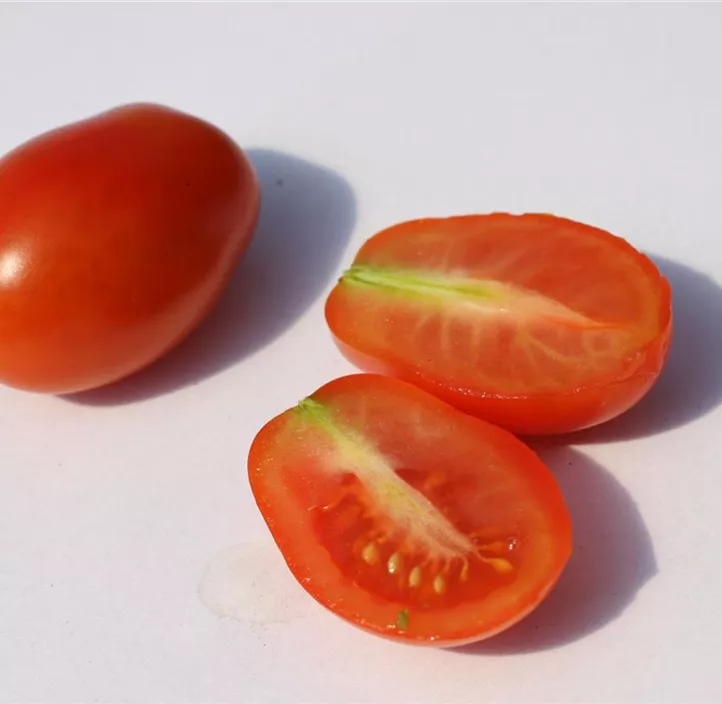Datteltomate 'Cupido'