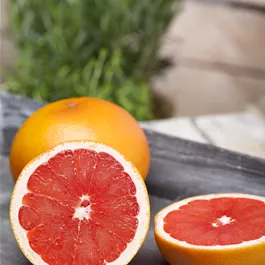 Citrus arancio tarocco messina Stamm