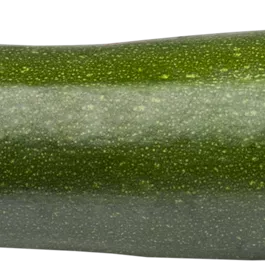 Cucurbita pepo grün