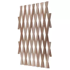 Holz-Spalier