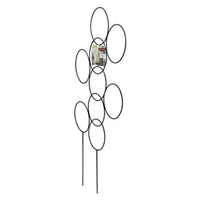Rankgitter Circle