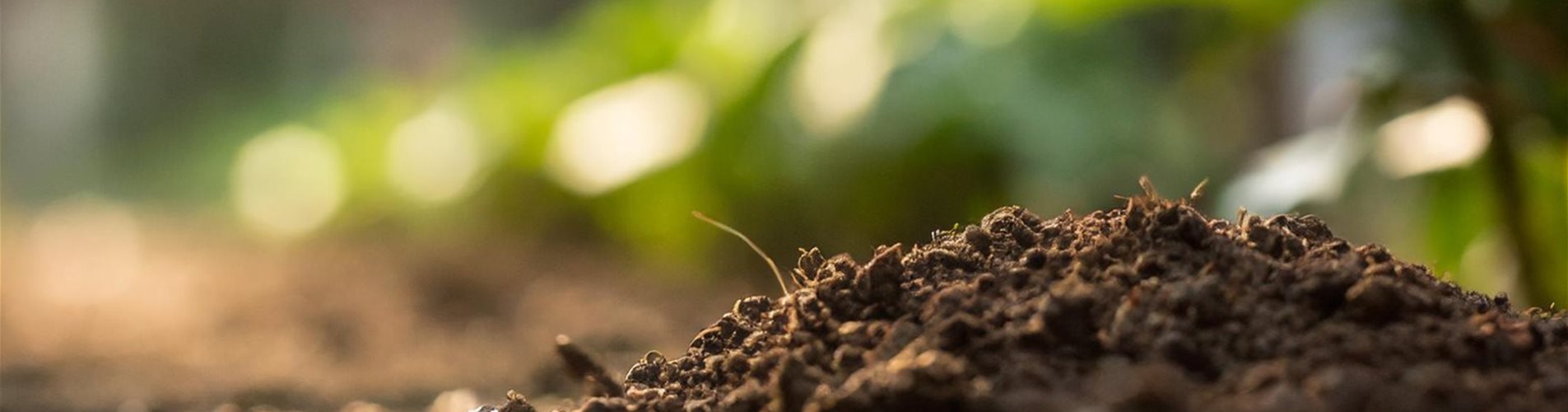 Bedeutung des Bodens Header