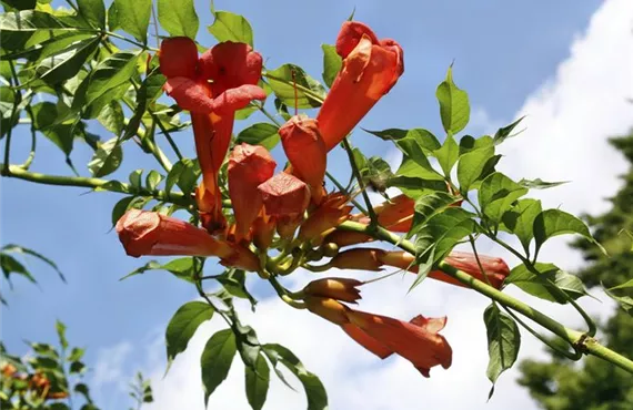 1681 (2) csm_iStock_000030543004Large_1041b35b24.jpg