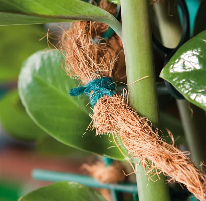 Gartenschnur Jute