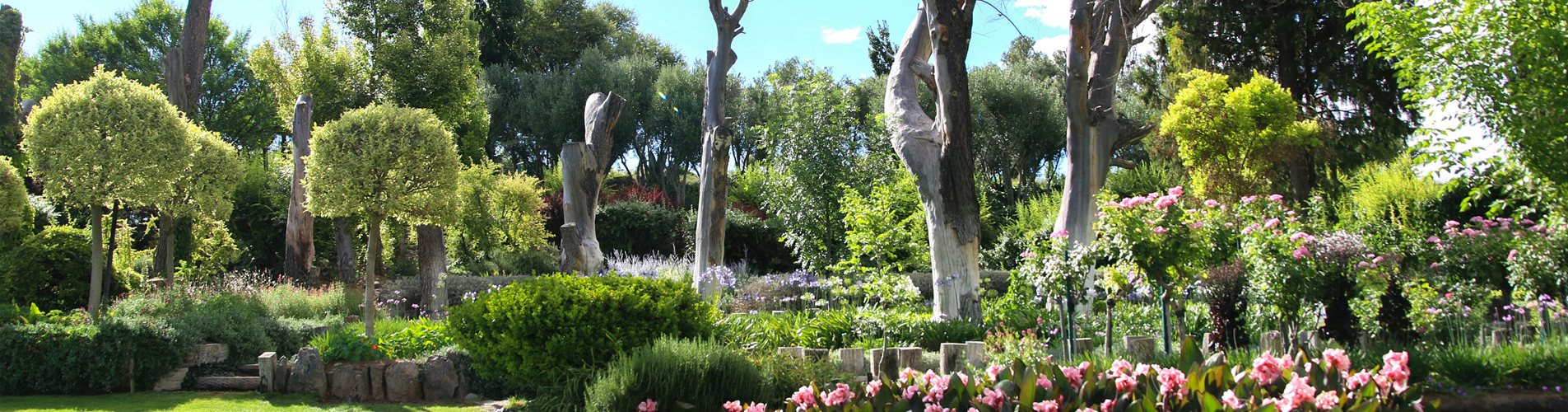 Grüner Rasen mit Blumenbeet, Neuanlage klassischer Rasen