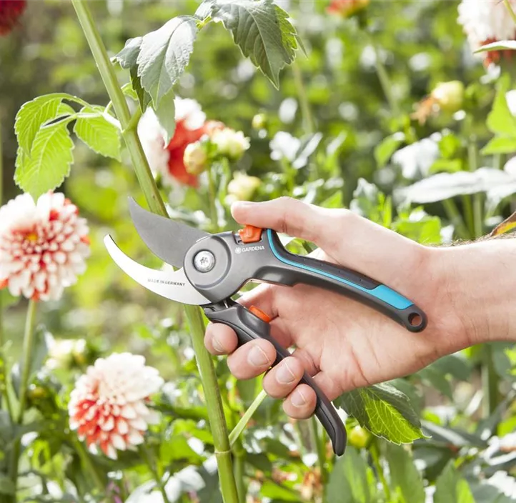 Gartenschere B/M