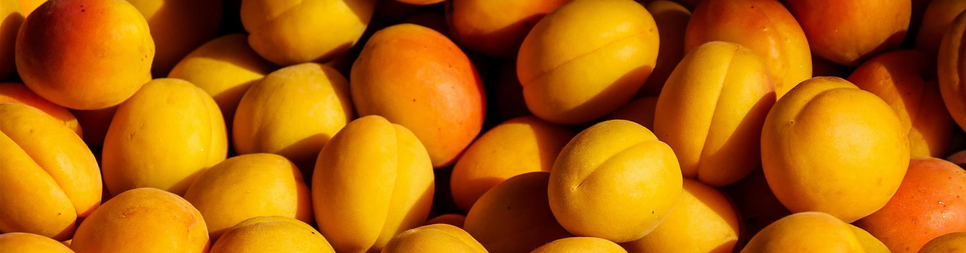 pexels-pixabay-209416