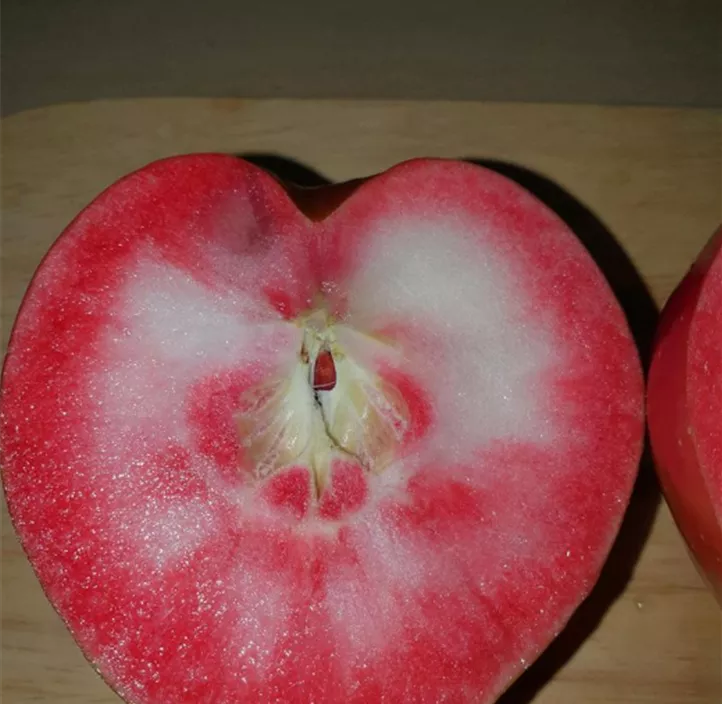 Apfel 'Roter Mond'