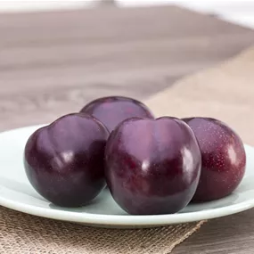 Prunus domestica Top Col