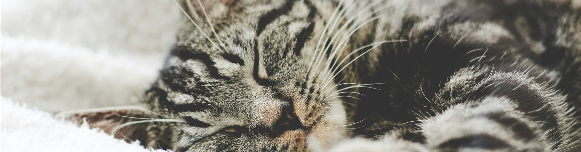 erik-jan-leusink-QTe-MHNUrz4-unsplash-0-64-4272-2403