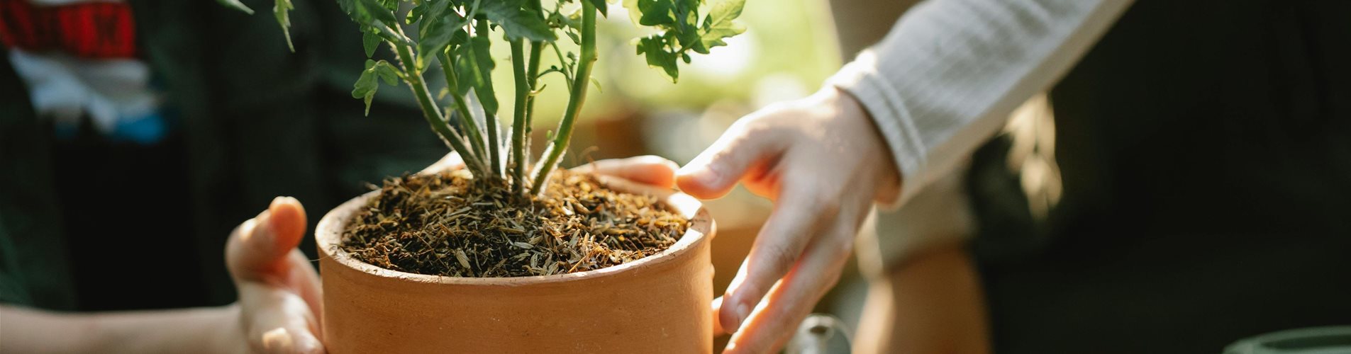 pexels-gary-barnes-6231852-0-0-5040-2835