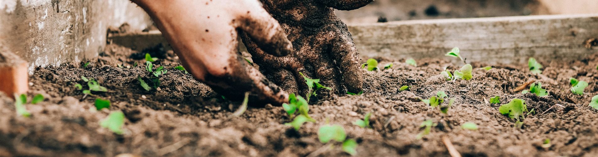 sandie-clarke-q13Zq1Jufks-unsplash-0-0-6000-4000