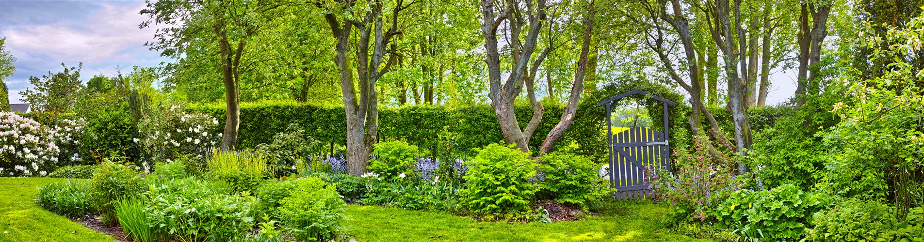 iStock-954139432 iStock-954139432