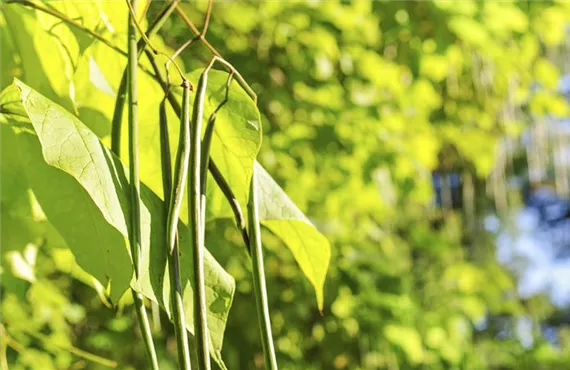 csm_iStock_000032218876Large_2d7cd91655.jpg csm_iStock_000032218876Large_2d7cd91655.jpg