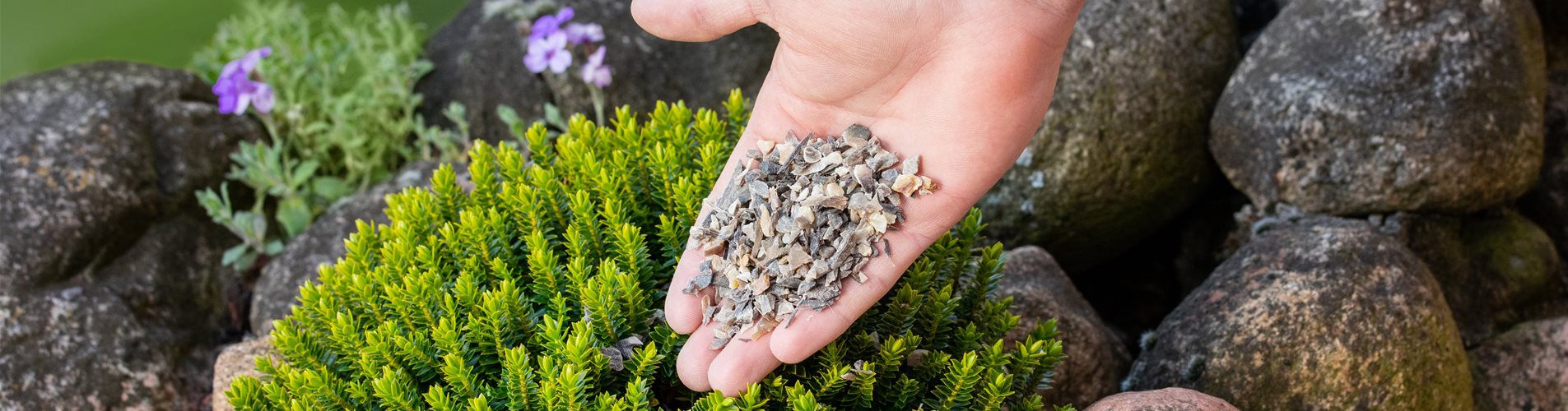 Dünger - Hornspäne