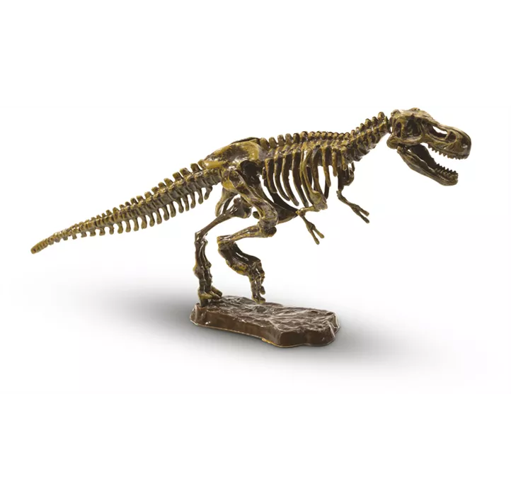 Ausgrabungsset T-Rex