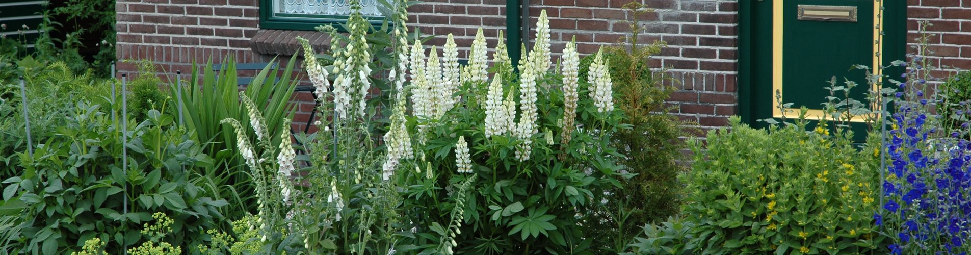 Blumenbeet vorm Haus