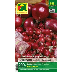 Wintersteckzwiebel rot