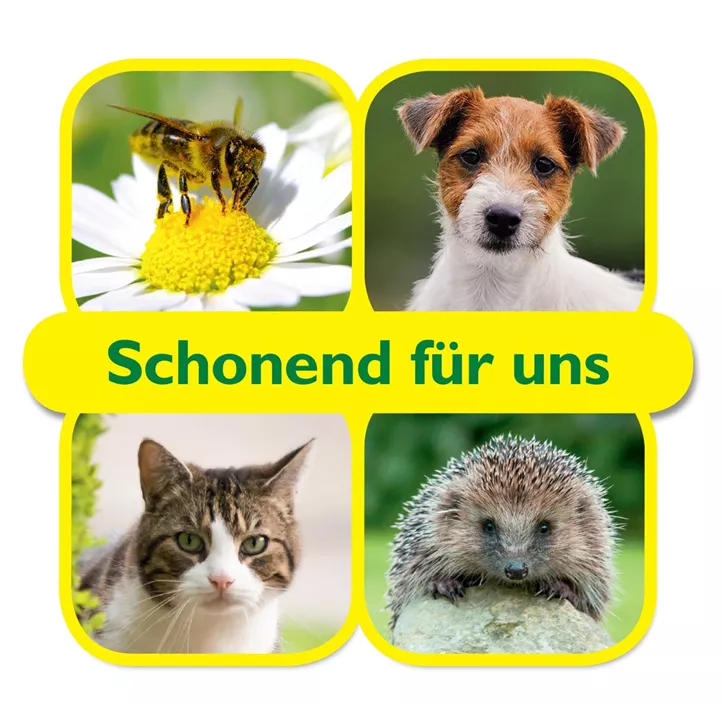 Ferramol Schneckenkorn