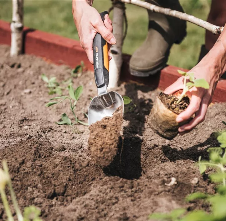 Hand-Blumenkelle Xact