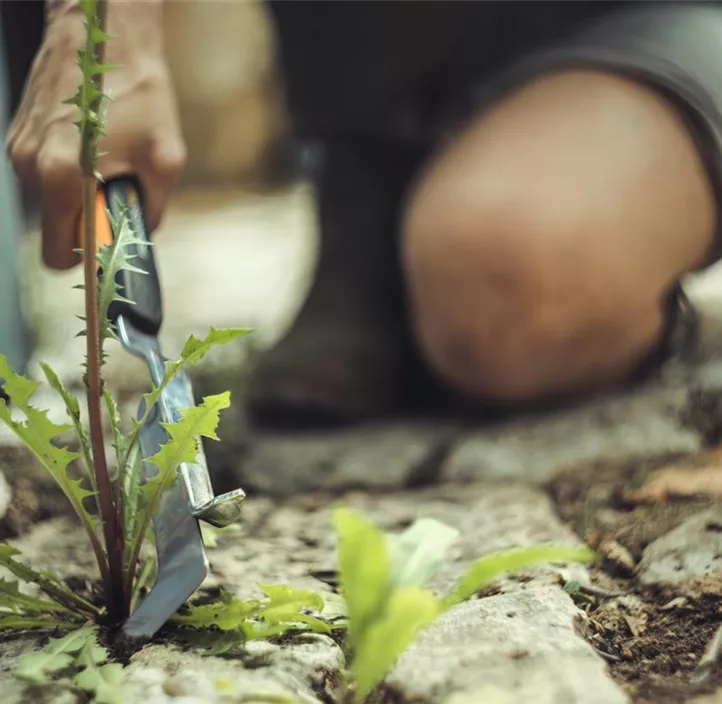 Hand-Fugenkratzer Xact