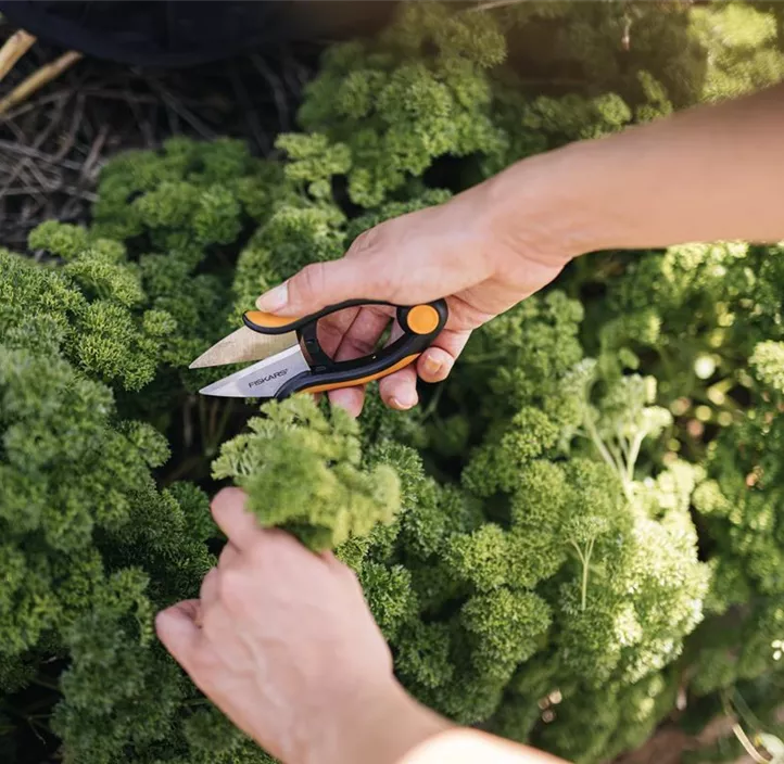 Kräuterschere Solid